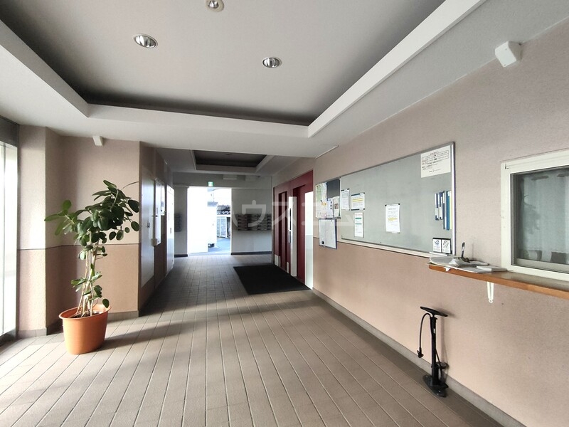 3/14 その他画像