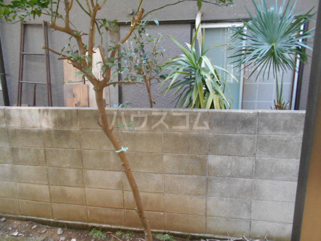 11/20 その他画像