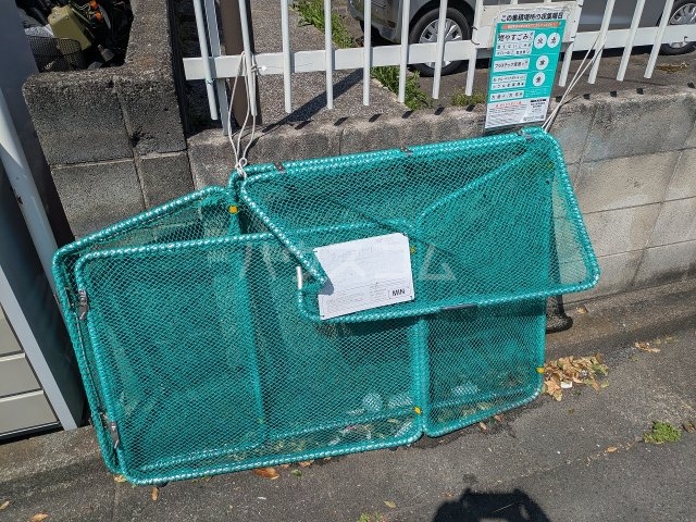 6/19 その他画像