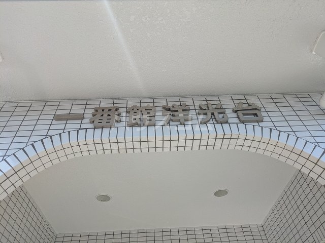 8/19 その他画像