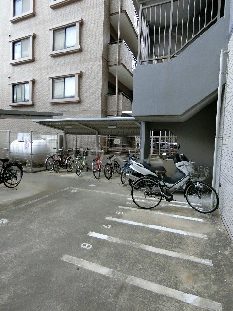 19/29 その他画像