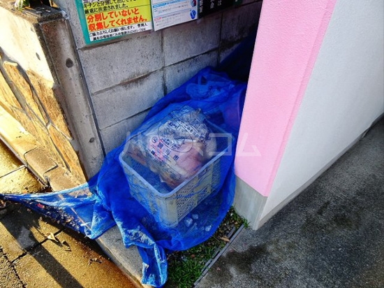 3/15 その他画像