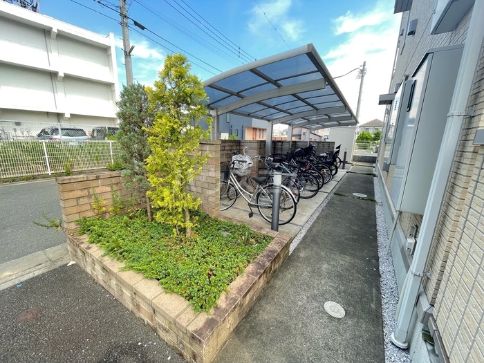 3/17 その他画像