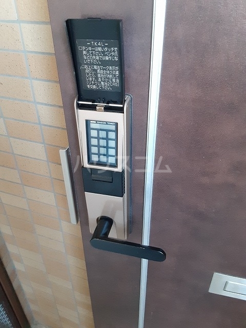 20/30 その他画像