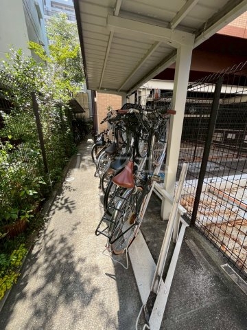 20/30 その他画像