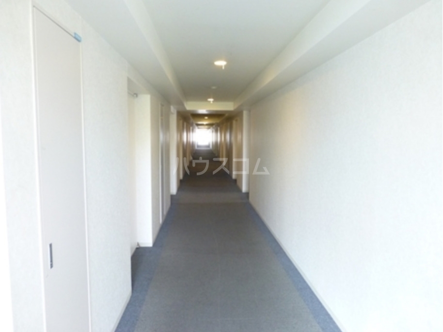 8/17 その他画像