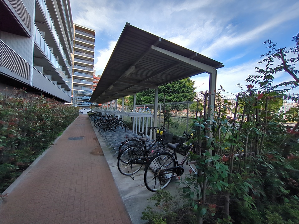 29/30 その他画像