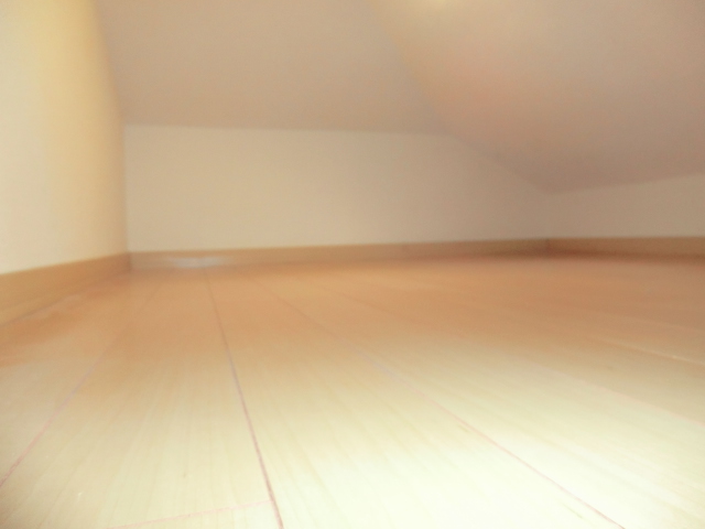 19/24 その他画像