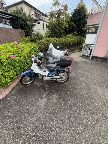 17/26 その他画像