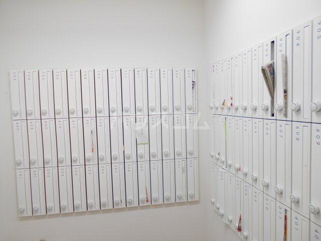 24/29 その他画像