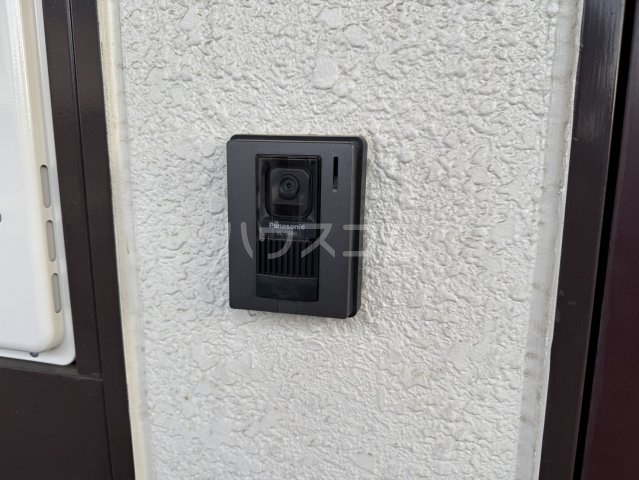 3/17 その他画像