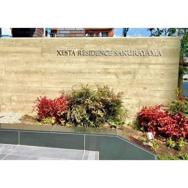 12/17 その他画像