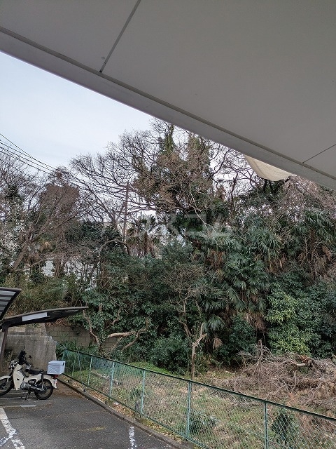 20/24 その他画像