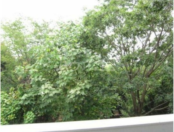 13/24 その他画像