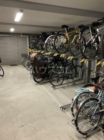 5/17 その他画像