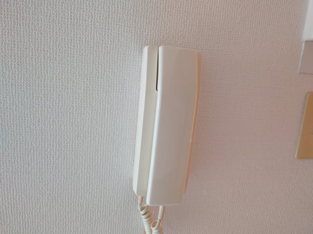 16/22 その他画像