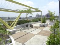 11/20 その他画像