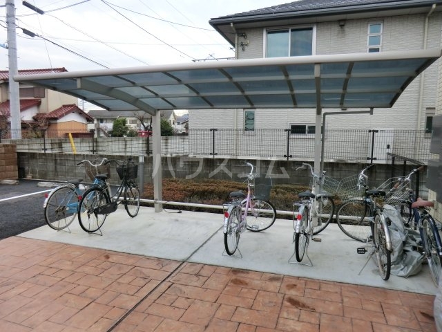 20/30 その他画像