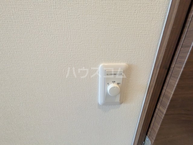 21/29 その他画像