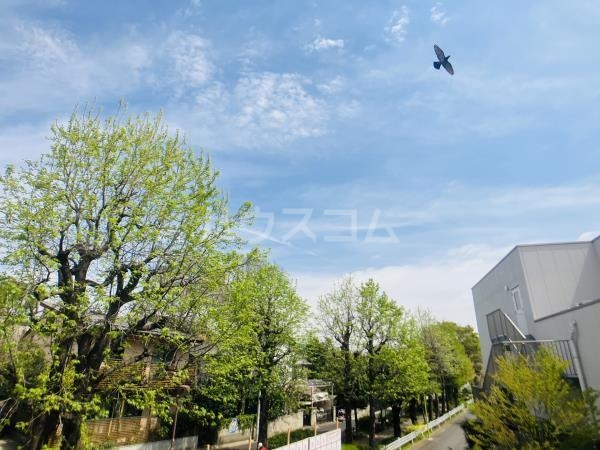 19/29 その他画像