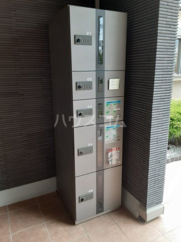 20/30 その他画像