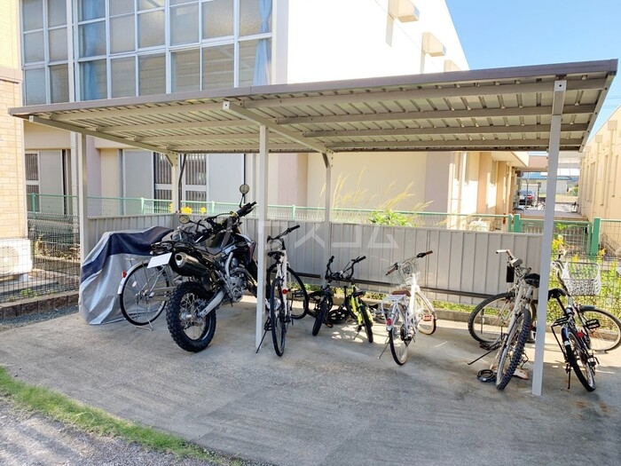 3/16 その他画像