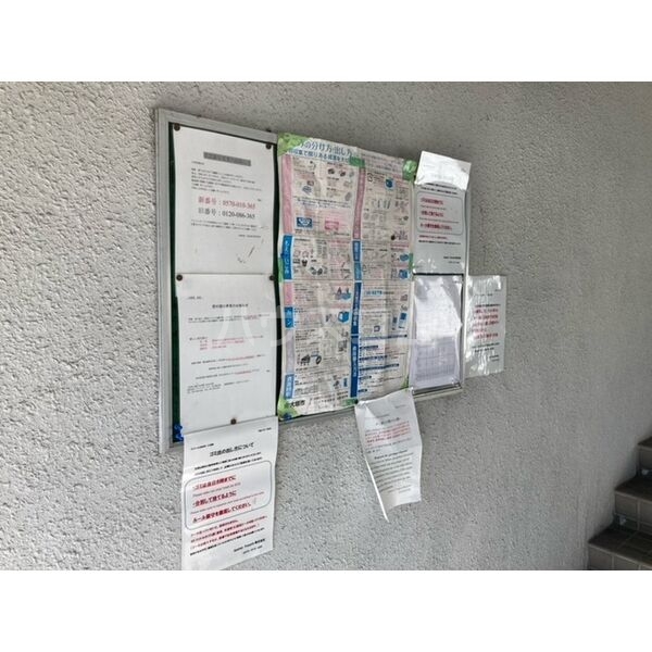 8/11 その他画像