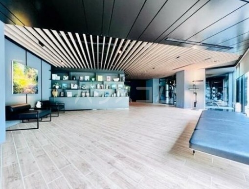 21/29 その他画像