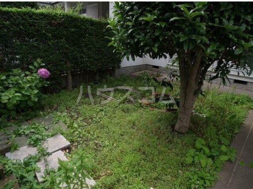 4/20 その他画像