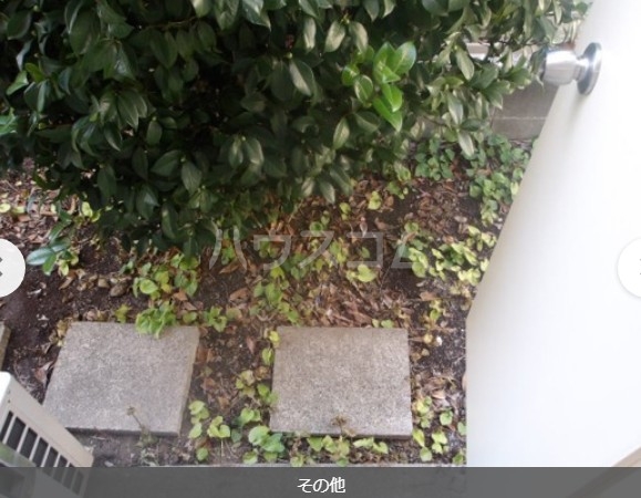 23/29 その他画像