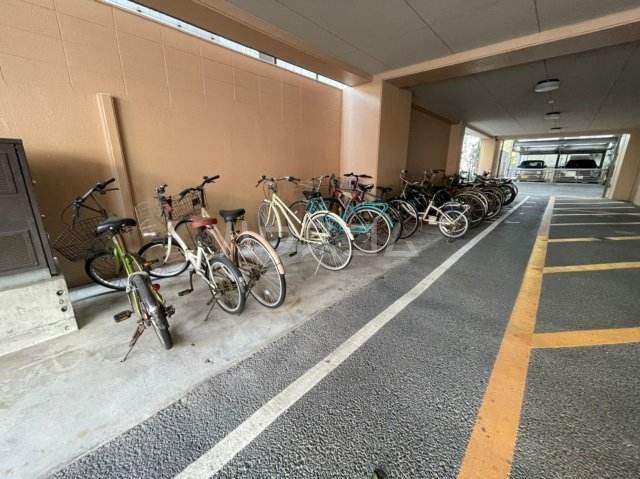 15/25 その他画像