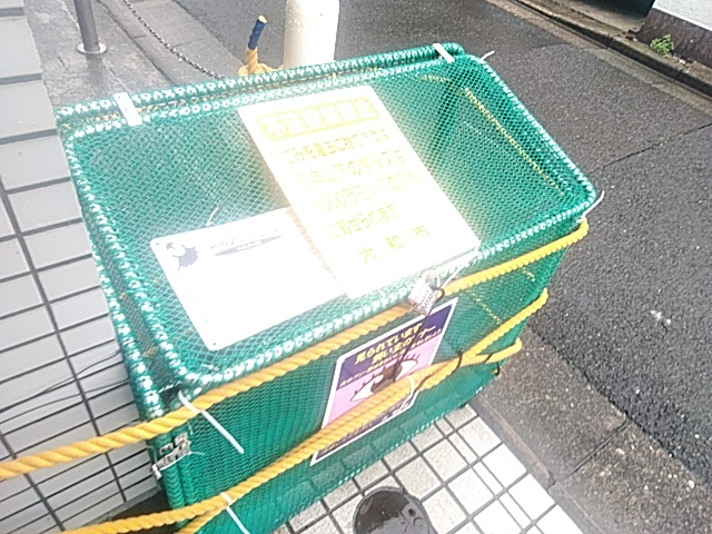 21/25 その他画像