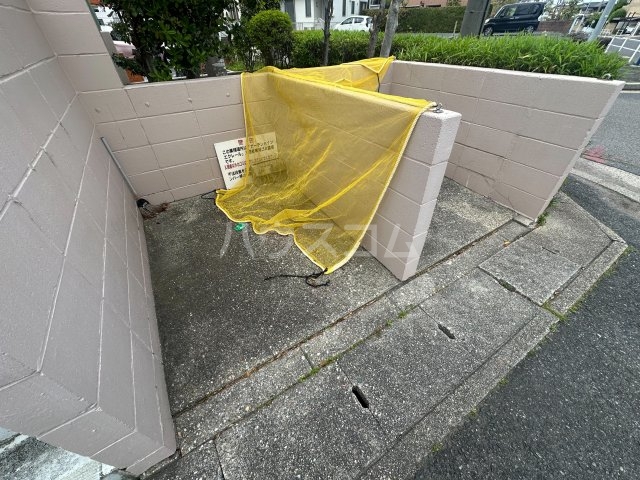 25/30 その他画像