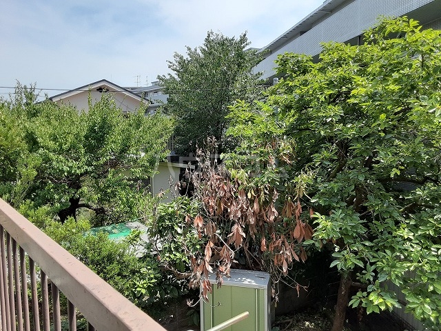 16/29 その他画像