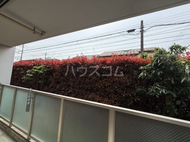 15/21 その他画像