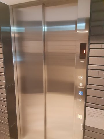 5/15 その他画像