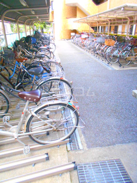 3/13 その他画像