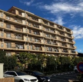 11/16 その他画像