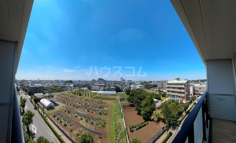 13/24 その他画像