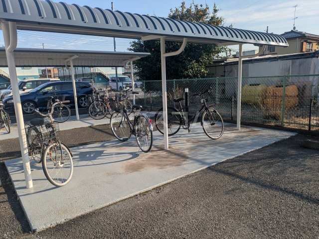 20/30 その他画像