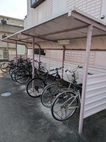 20/30 その他画像