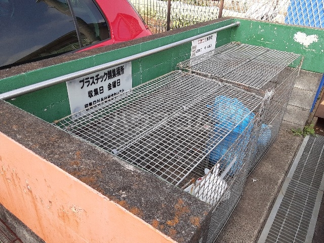 19/30 その他画像