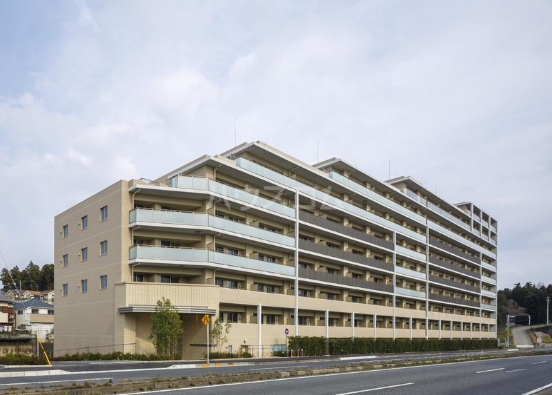 15/30 その他画像