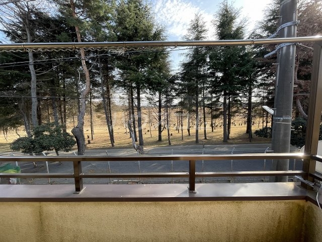 5/17 その他画像