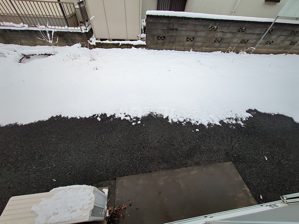 12/19 その他画像