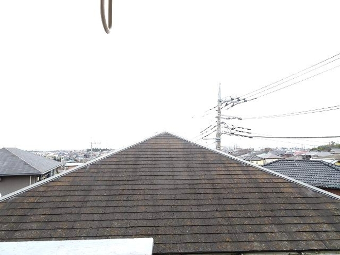 11/17 その他画像