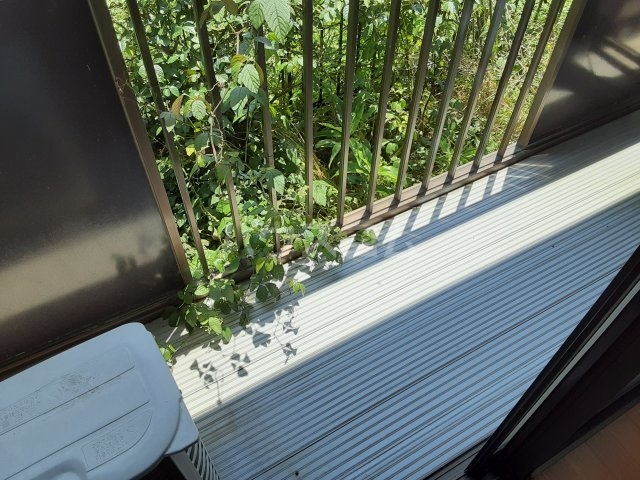 17/30 バルコニー