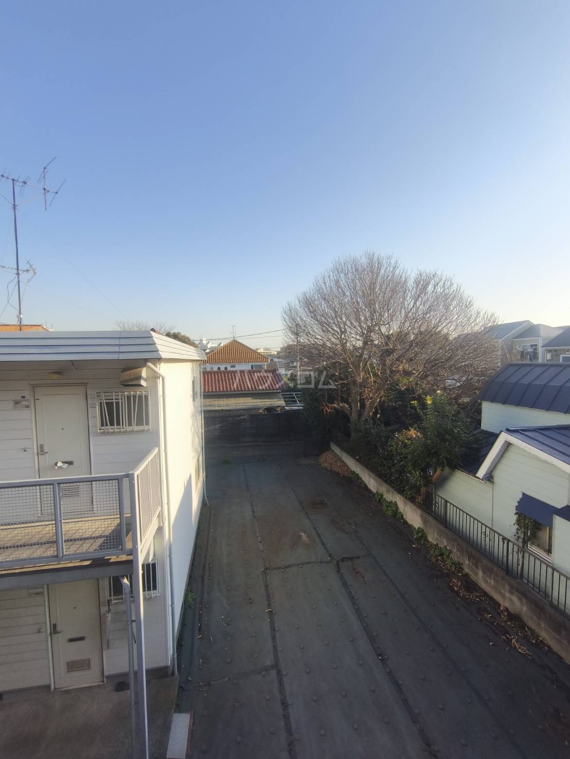 17/21 その他画像