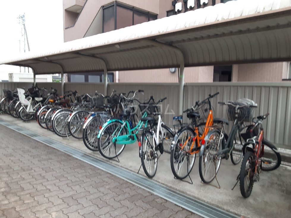 15/25 その他画像