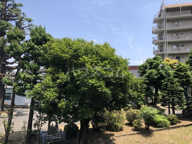 15/30 その他画像